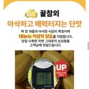 성주산유통 | 성주참외 추천 향긋함과 달콤함에 반한 찬마켓 성주 꿀참외 솔직 후기💗