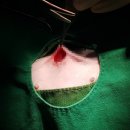 본오365동물병원 이미지