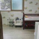 우리집 똥강아지 이미지