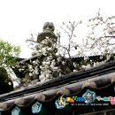 백구공원 이미지