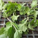 가을농장 이미지