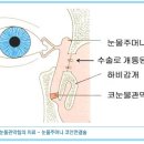 건강만세 - 남동구 구월동 | 건강만세