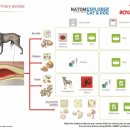 한가람동물의료센터 이미지