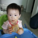 철만농장 이미지