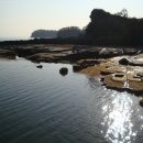 고성자연사박물관 이미지