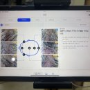 비비엔느 헤어살롱