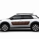 2014 Citroen C4 Cactus 이미지