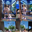 신백생활체육공원 이미지