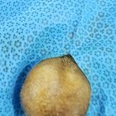 로이종합동물병원 이미지