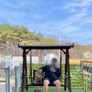 다이어트펜션 | 영흥도 애견동반펜션 추천 🐶 소형견부터 대형견까지 가능한 라르고펜션 내돈내산 후기