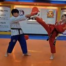 미산태권도 이미지