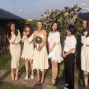 비비디자인