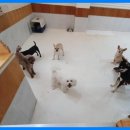 바우밸리 이미지