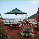 빈하우스 이미지