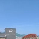 부산 기장 정관 아이랑 가볼만한곳｜치유농장온담 동물체험카페