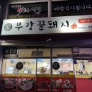 부강꿀돼지
