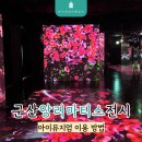 군산 전시회 색채의 마술사 앙리마티스 아이뮤지엄 관람 후기