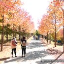 경상남도 수목원 이미지