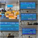 신효월라봉영농조합법인 | {대구시 북구}북대구농산물도매시장//제주감귤경매가// 대구중앙청과 농산물 경매 현장을 가다