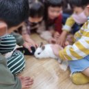 무동농장 이미지