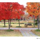 내장산 단풍생태공원 이미지