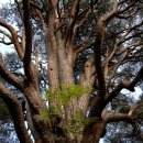 부곡2리 이미지