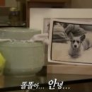 똘똘이농장 이미지