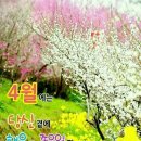 눈부시게 이미지