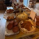 온천천로 | 부산 몽벨쉘터 | 부산 온천천 벚꽃 뷰 카페, 온천천 반려동물 동반 카페