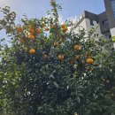 제주 나인 부띠끄 이미지