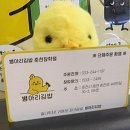 병아리김밥춘천장학점
