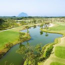 테디벨리 이미지