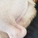 바로슬동물병원 이미지