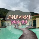 풀빌라펜션 드위트리 1 | 강원도 정선 드위트리펜션 (몰디브 감성 풀빌라) 숙박후기