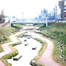 야당5교 이미지