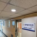 법인아라