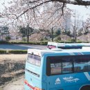 시청 별관 앞 이미지