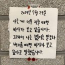 당근바다 이미지