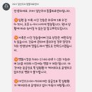 하나동물의료센터 | 24시 일산우리 동물의료센터 슬개골 수술 후기