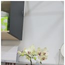 실면도샵