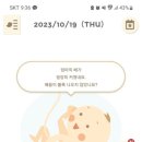 산전페어