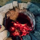 비자숲길15 이미지