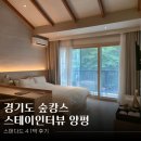 스테이다정 | 경기도 감성숙소 스테이인터뷰 양평 숲캉스 : 스탠다드4 1박 후기