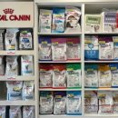 퍼피엔젤 반려동물 미용실 이미지