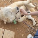 지연농장 이미지