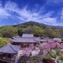 서해천수만청소년수련원 | 충청남도 여행 버킷리스트 BEST 20