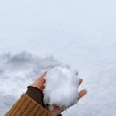 복오리 숯불구이 이미지