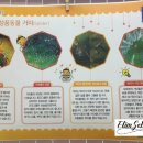 엘림어린이집 이미지