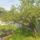 남한산성면-2 이미지