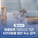 2025년 동물등록 자진신고 안내&amp; 반려동물 동반 숙소 찾는 법